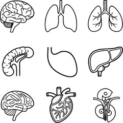 Medical Human Organs Icon Set Vector Illustration Art 