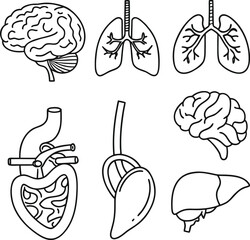 Medical Human Organs Icon Set Vector Illustration Art 