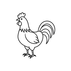 Fototapeta premium rooster line art