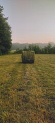 hay bales in the field
