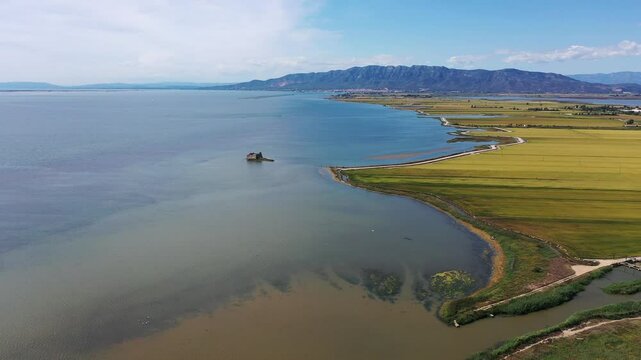 Ebro River Delta waters gliding through verdant Catalonian landscape, weaving environmental richness and regional cultural narratives beneath luminous Mediterranean horizons