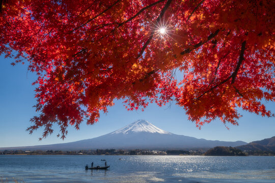 View of fiery red maple leaves framing the majestic snow-capped Mount Fuji, reflected in the tranquil lake where a lone boat drifts, Fuji, Shizuoka, Japan.