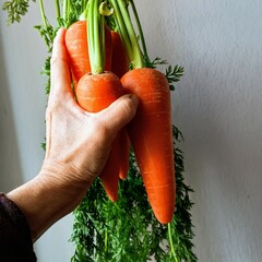 carrots