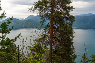 Herzogstand view to the Walchensee lake with a view though the forest trees