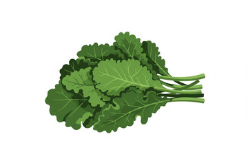 Freshly harvested collard greens graphic, a nutrient-rich vegetable bunch, great for health, wellness, and culinary designs.
