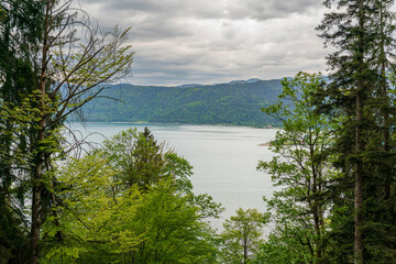 Herzogstand view to the Walchensee lake with a view though the forest trees
