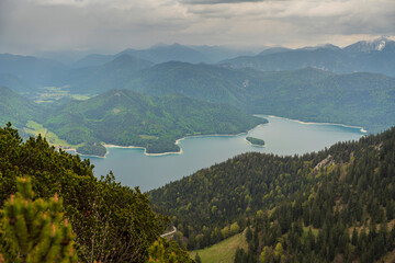 Herzogstand view to the Walchensee lake with a view though the forest trees