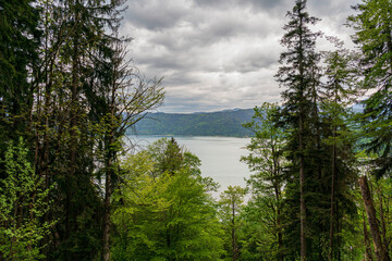 Herzogstand view to the Walchensee lake with a view though the forest trees