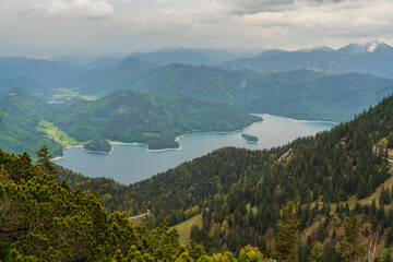 Herzogstand view to the Walchensee lake with a view though the forest trees
