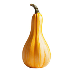 A tall ribbed ornamental gourd with yellow and white stripes isolated on transparent background