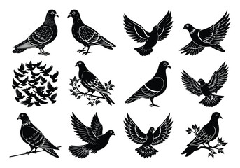 A collection of pigeon silhouettes in various poses on a white background