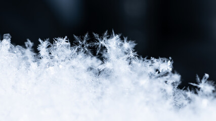 Macro snowflakes showing intricate winter details on dark background