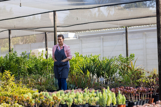 Nursery worker woman tending potted succulents under shade canopy in nursery wearing striped apron - Powered by Adobe