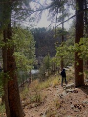 Obraz premium hiking in the woods