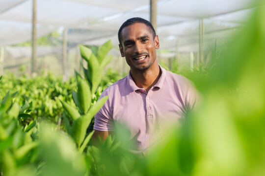 Asian man smiling and wearing pink polo in greenhouse by seedlings under shade netting