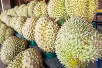 Vibrant arrangement of fresh durian fruits.