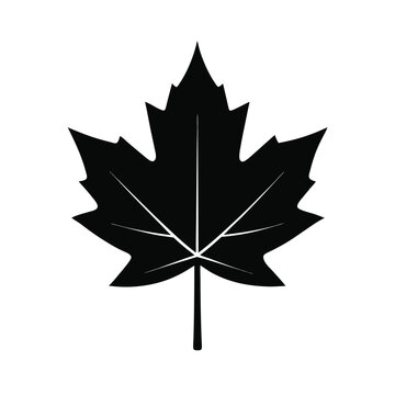 Simple Black Silhouette Maple Leaf,  Autumn Nature Icon, Minimalist Design, Elegant Fall Symbol, Vector Graphic Illustration, Isolated on White Background.