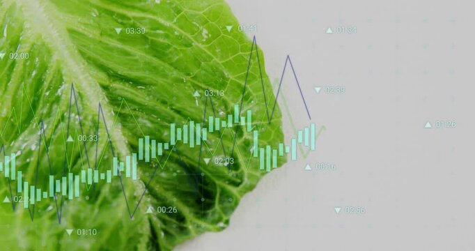 Leaf appearing with candlesticks growing, dipping and line graph spiking to show market data