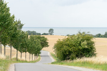 small street through the landscape of Mecklenburg Western Pomerania on a bright summer day