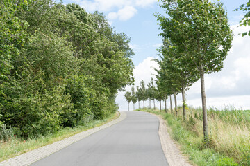 small street through the landscape of Mecklenburg Western Pomerania on a bright summer day