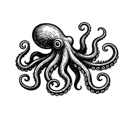 Detailed Engraving of an Octopus with Curled Tentacles in Black and White