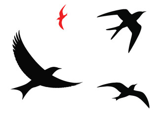 set of black bird silhouettes in various flying poses, freedom concepts
