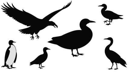 Silhouette of birds flying and landing, set of penguin, duck, eagle