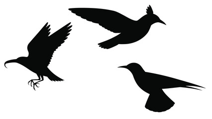 Flying and Perched Bird Silhouette Set. Stylized Vector Wildlife
