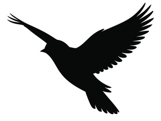 black bird silhouette flying on white background