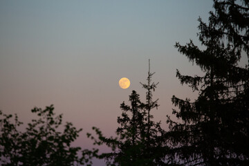 Fototapety na wymiar - Fototapeta24.pl