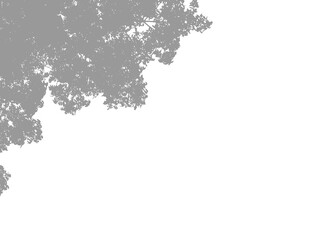 Grey Tree Silhouette, Copy Space, Natural Background, Design Element