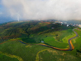 Landscape sunset tea plantation with wind generator turbines in Da lat. Concept modern technologies and eco energy of Vietnam