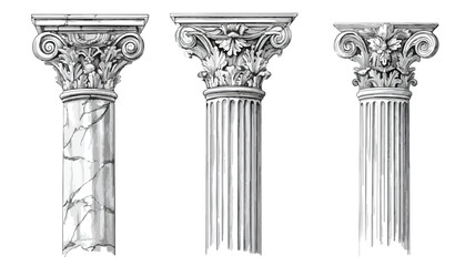 Detailed Engraved Illustration Set of Fluted Columns for Architectural Design Projects