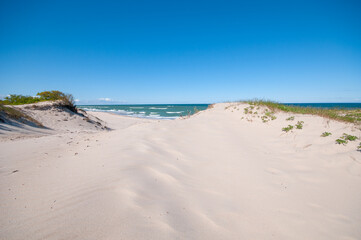 Sand dunes landscape at the sea coastline