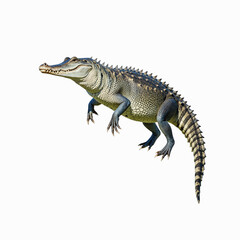 Obraz premium Majestic Alligator's Pose: An impressive, single alligator confidently poses in a striking display, showcasing its textured skin and powerful physique against an isolated setting.