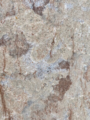 Naklejka premium Weathered Stone Surface with Earthy Red and Gray Tones