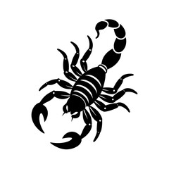 Obraz premium Scorpion clipart on a white background 1 vector illustration