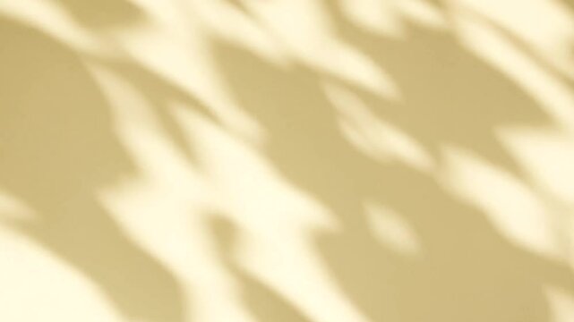 Abstract silhouette shadows of natural leaves tree branches falling on a yellow pastel wall background. Transparent blurry shadow in morning sunlight with copy space for text,4K 