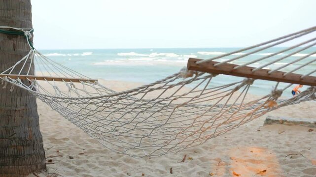 A hammock hangs between palm trees on a sandy beach by the ocean
