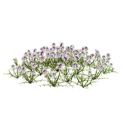 Naklejka premium lavender plants isolated on transparent background.