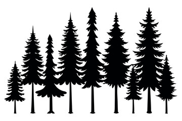 Fototapeta premium Black Vector Silhouette Set of Evergreen Pine Trees in Forest Landscape – Seasonal Nature Illustration