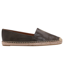 Image of a shoes for fashion on transparent background