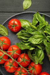 Fresh cherry tomatoes with basil leaves on black wooden background