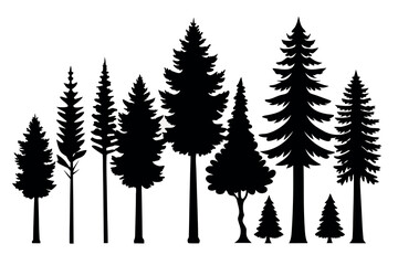 Fototapeta premium Pine Tree Silhouette Collection Isolated on White Background – Vector Set 