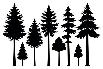 Fototapeta premium Pine Tree Silhouette Collection Isolated on White Background – Vector Set 