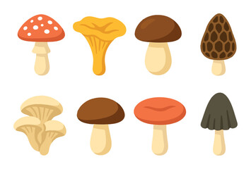 Mushroom set. minimalist silhouette mushrooms. fungus, toadstool, chanterelle, morel vector icons.