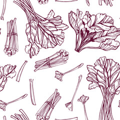 Hand-drawn rhubarb. Vector seamless pattern. 