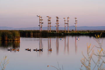 Wildlife refuge in Farmington Bay Utah