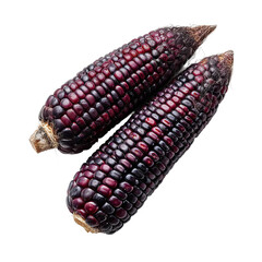 Two purple corn cobs displayed from a top-down perspective, ready for consumption
