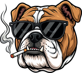Cool English bulldog head wearing sunglasses and smoking a cigarette, cartoon vector mascot.